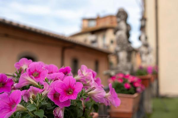 شقة La Finestra Sul Borgo Dimora Storica لاتيرينا المظهر الخارجي الصورة